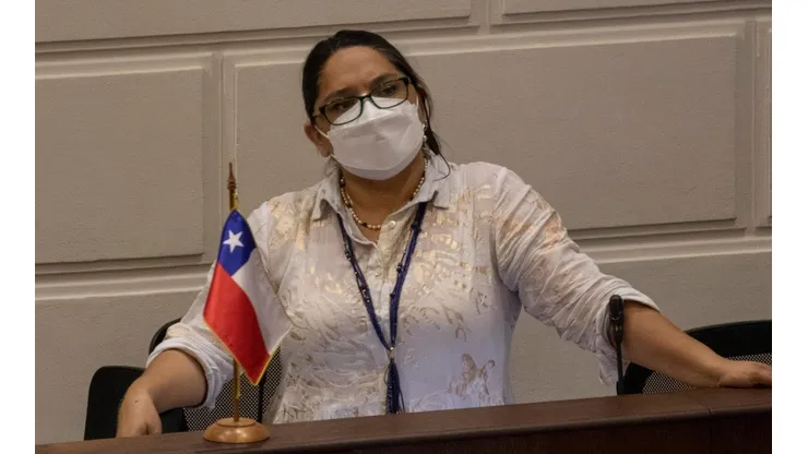 Exconvencional de Republicanos en contra de que exista nueva Constitución