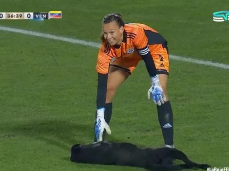Tiane acaricia a perrito en amistoso de la Roja y da la vuelta al mundo