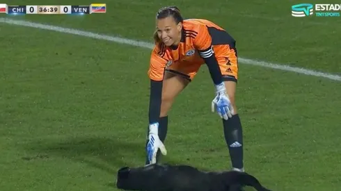 Tiane acaricia a perrito en amistoso de la Roja y da la vuelta al mundo