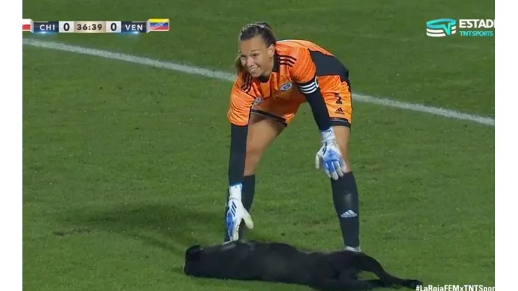 Tiane acaricia a perrito en amistoso de la Roja y da la vuelta al mundo