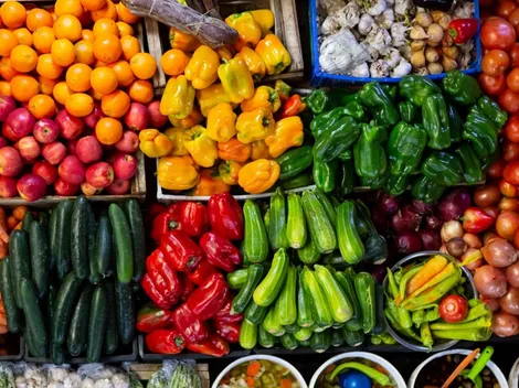 ¿Quiénes reciben a partir de hoy el Bono Canasta Básica?