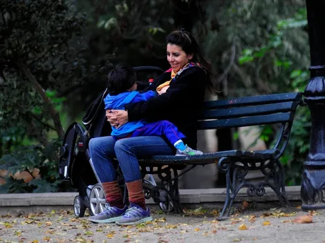 ¿Quiénes pueden recibir el Subsidio Protege y cuánto dinero entrega?