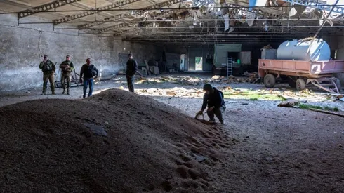 OMS revela contactos con Rusia y Ucrania para destrabar exportaciones de alimentos