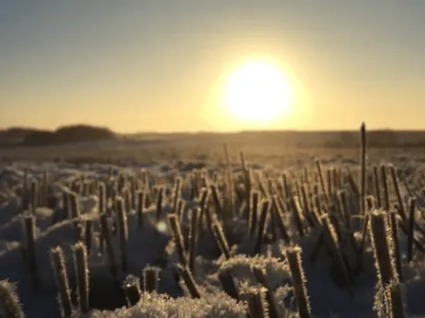 ¿Qué importancia tiene el Solsticio de Invierno para el Día de los Pueblos Indígenas?