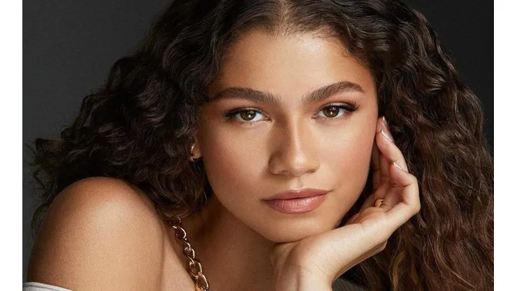 Zendaya está en pleno ascenso en el universo hollywoodense.