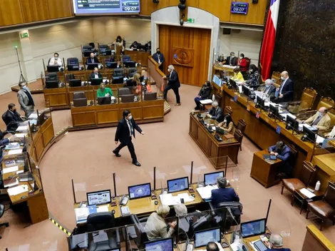 ¿Qué senadores verían su mandato reducido en cuatro años con el fin del Senado?