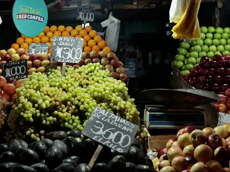 ¿Cuándo es el primer pago y cuál es el monto por carga del Bono Canasta Familiar?