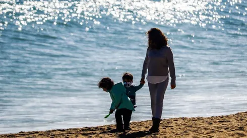 Subsidio Protege: Estado de postulación y fecha de pago