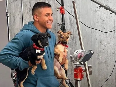 Alexis graba comercial con dobles de sus mascotas