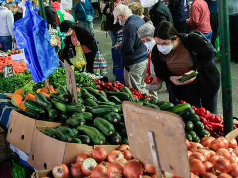 ¿Cómo puedo postular al Bono Canasta Básica?
