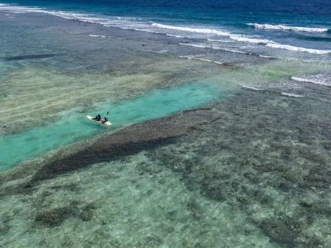 ¿Por qué se conmemora este 8 de junio el Día Mundial de los Océanos?