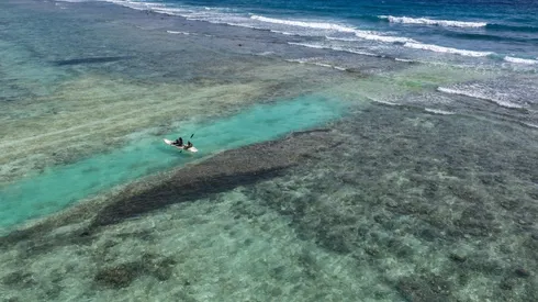 ¿Por qué se conmemora este 8 de junio el Día Mundial de los Océanos?