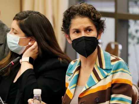 Comité de Ministros rechaza proyectos de gas natural y vertedero