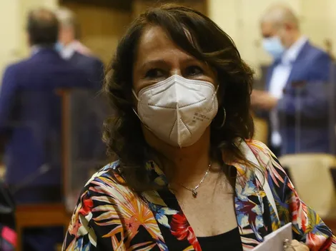 Ministra de Minería aclara que privados tendrán participación minoritaria en litio