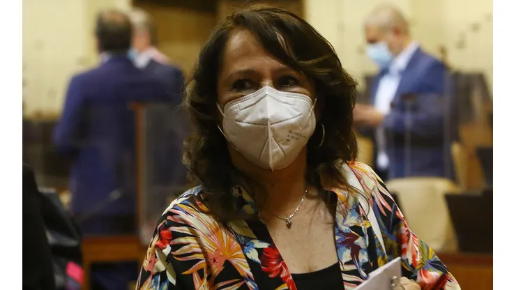 Ministra de Minería aclara que privados tendrán participación minoritaria en litio