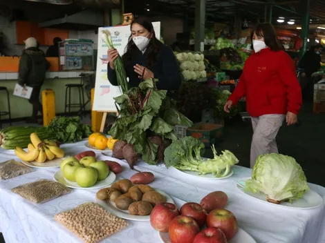 Bono Canasta Básica 2022 | ¿Cuándo aumentará el monto de pago y cuáles son los requisitos?