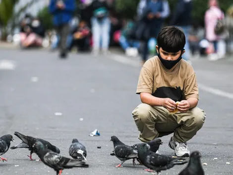 ¿Cómo se postula al Bono Control Niño Sano y qué requisitos tiene?
