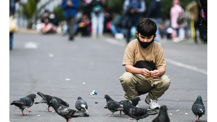 ¿Cómo se postula al Bono Control Niño Sano y qué requisitos tiene?