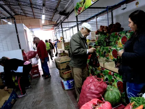 Bono Canasta Básica | Revisa aquí el pago correspondiente a tu grupo familiar