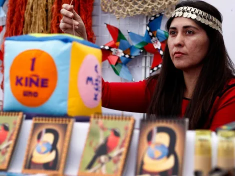 ¿Cuáles son los beneficios, requisitos y cómo postular al Capital Abeja de Sercotec?