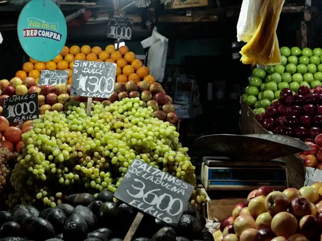 ¿Cuál es la fecha de pago del Bono Canasta Básica?