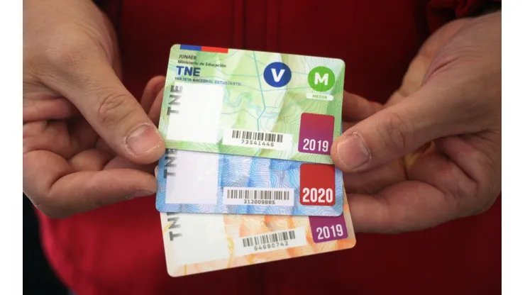 ¿Quiénes deben revalidar la TNE y cómo puedo hacer el trámite?
