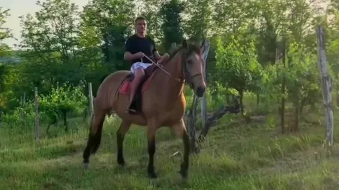 Alexis Sánchez echa raíces en Italia, con la compra de una exclusiva viña al noreste de Friuli