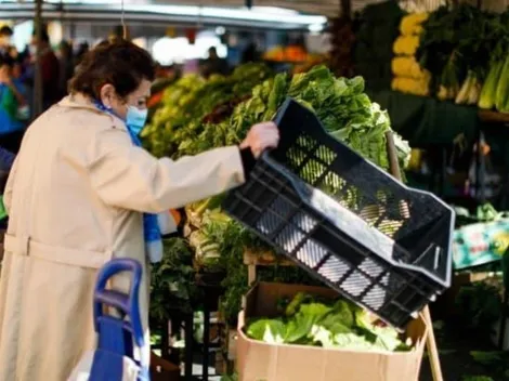 ¿Cómo puedo recibir el Bono Dueña de Casa y de qué trata?