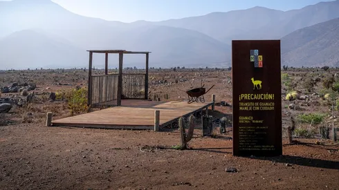 Suprema rechaza recurso contra Dominga y Gobierno definirá su futuro