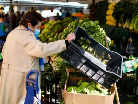 Bono Dueña de Casa | ¿Cuáles son los montos que entrega el Bono de Protección?