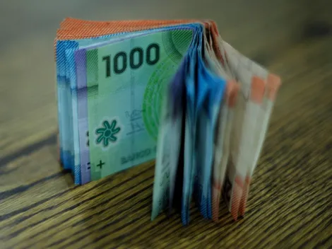 ¿Cuáles son las otras fechas de pago y cómo hacer seguimiento de la devolución?