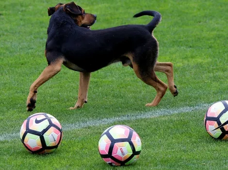Veinte ideas miserables para ahorrar plata en el fútbol chileno