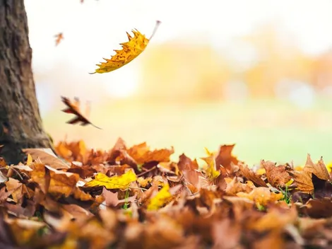 ¿Cómo estará el clima está semana en la Región Metropolitana?