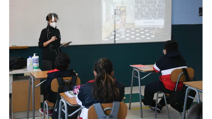 Programa de Liderazgos Colectivos | ¿Qué es y cómo postular para profesor?