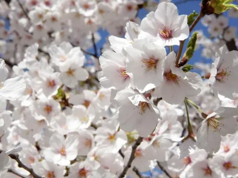 Horóscopo de hoy miércoles 4 de mayo de 2022