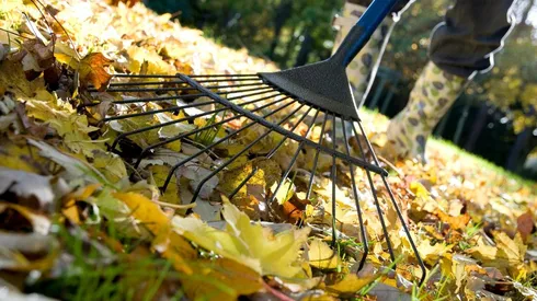 ¿Cómo estará el clima en Santiago?