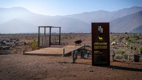 Inversionistas chinos buscan comprar proyecto Dominga