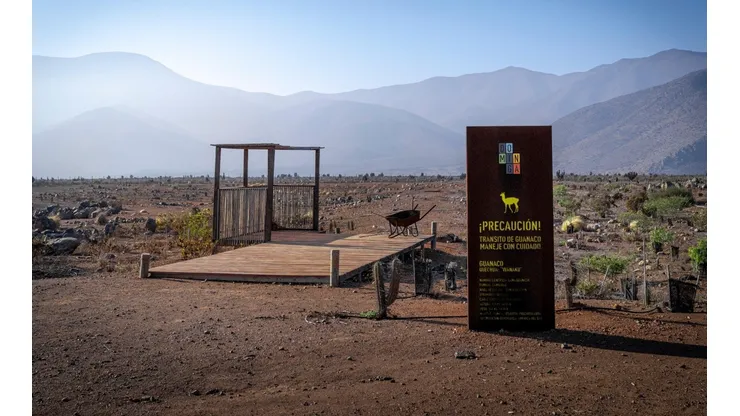 Inversionistas chinos buscan comprar proyecto Dominga