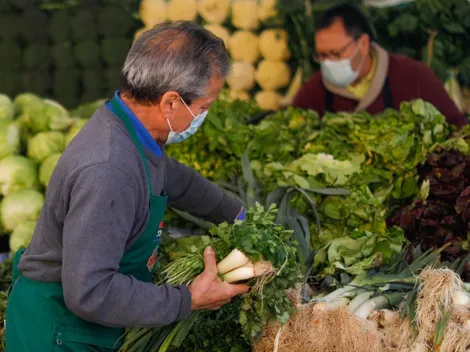IFE Laboral | ¿Cuándo comienza el pago del IFE para trabajadores?