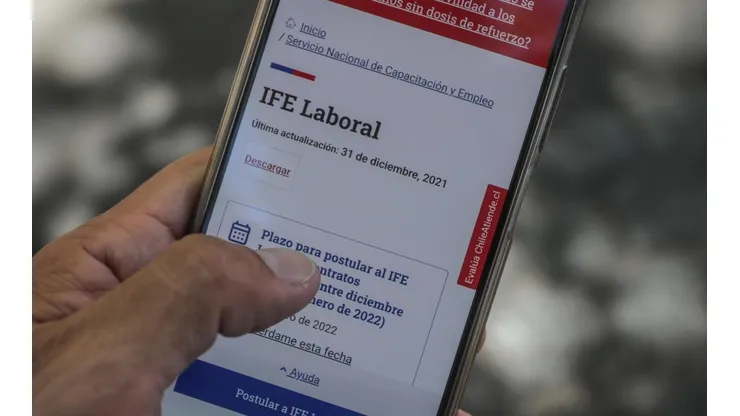 IFE Laboral Extendido