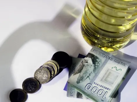 ¿Cuáles serían los Nuevos Bonos del Gobierno para subsidiar el alza de precios?