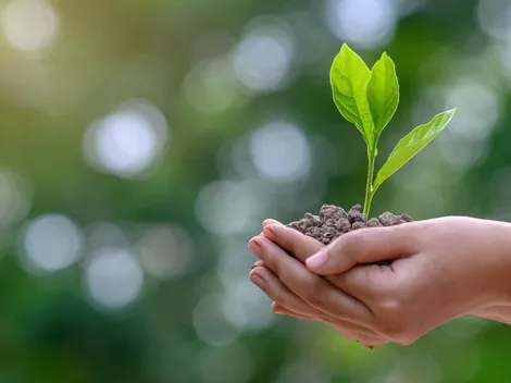 ¿Por qué se celebra hoy el Día de la Tierra y cuál es su origen?