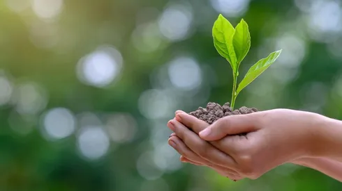 Por qué se celebra el Día de la Tierra