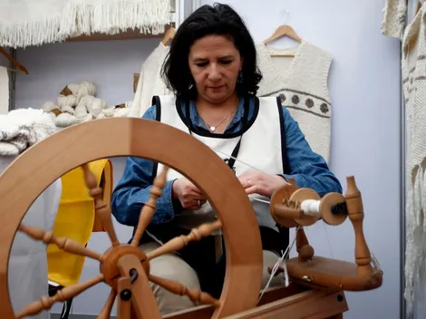 ¿Qué requisitos pide el FOSIS para postular y el hasta que hora puedo hacer el trámite?