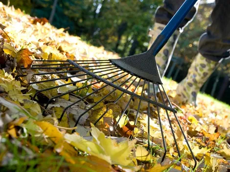 ¿Cómo estará esta semana el clima en Santiago?