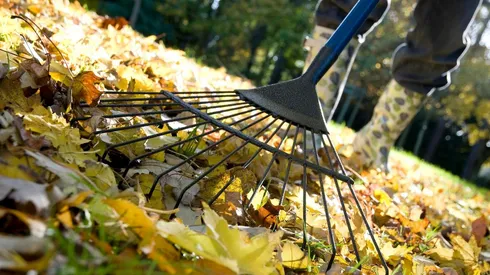 ¿Cómo estará el clima esta semana?