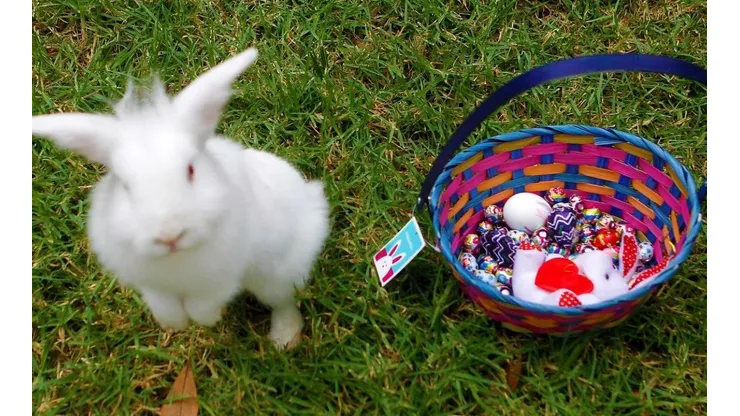 Canasta de pascua