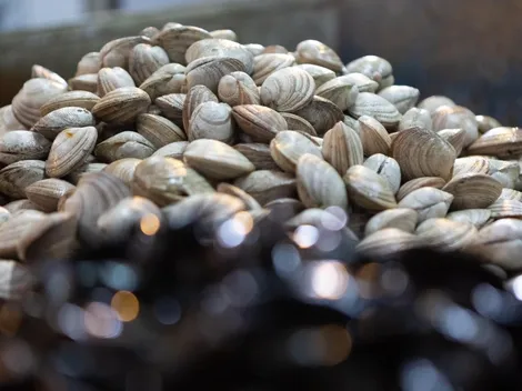 ¿Qué días de la Semana Santa no se puede comer carne y por qué?