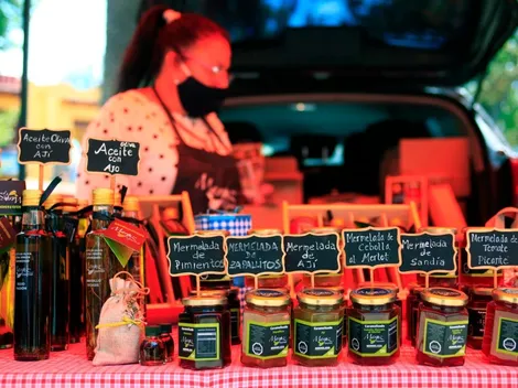 ¿Cómo se puede postular a los programas de emprendimientos del Fosis?