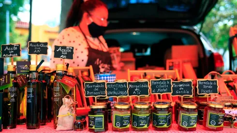 Fosis 2022: Postulaciones